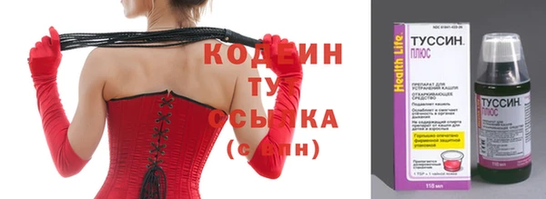 прущие крисы Абаза