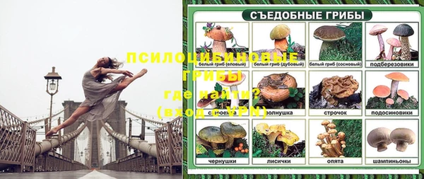 mix Абинск