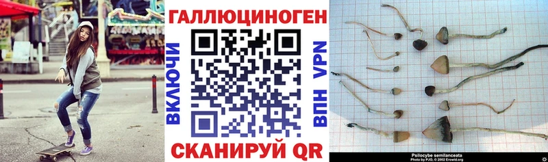 Галлюциногенные грибы мухоморы Стрежевой